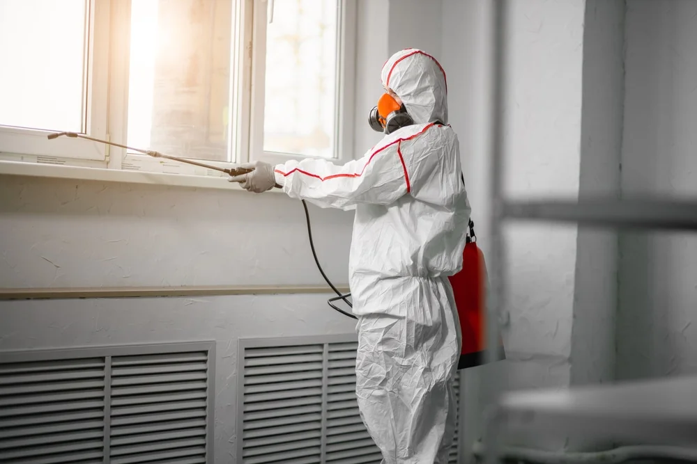 Professional mold remediation services in Eglin Afb, FL